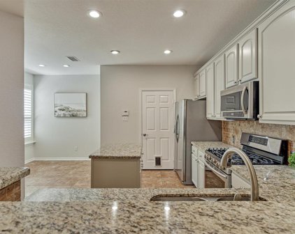 14 Alderon Woods Place, The Woodlands