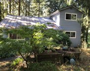 17416 NE 227TH AVE, Brush Prairie image