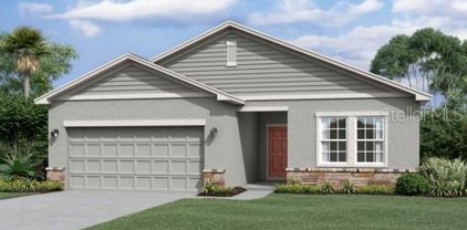 2322 Harris Hawk Avenue, Ruskin