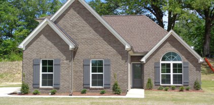 7744 Emeline Drive, Horn Lake