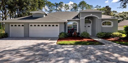 17110 Downs Drive, Odessa