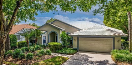 9104 Canberley Drive, Tampa
