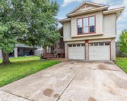 4814 Apple Springs Drive, Pearland image