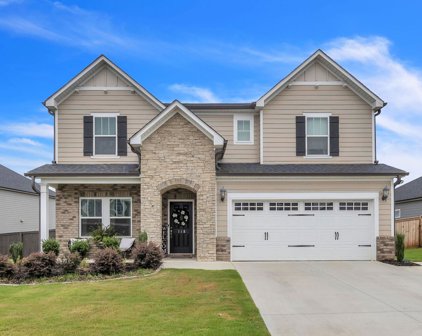 118 Graceful Sedge Way, Simpsonville