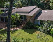 312 Forest Rd, Mount Dora image