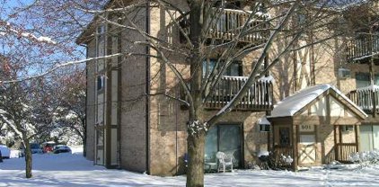 801 S Dwyer Avenue Unit #E, Arlington Heights