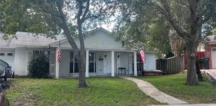 7003 Applewood Court, Tampa