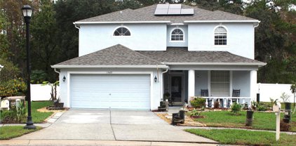 15622 Heartleaf Court, Land O' Lakes