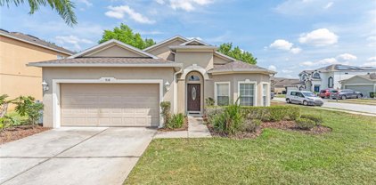 918 Dorset Place, Davenport