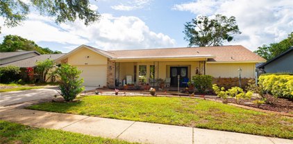 2507 Frisco Drive, Clearwater