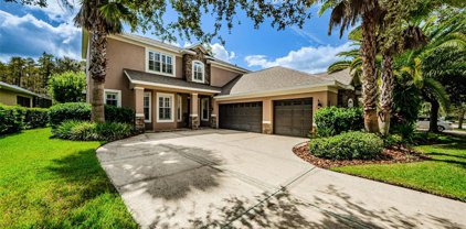 8337 Old Town Drive, Tampa