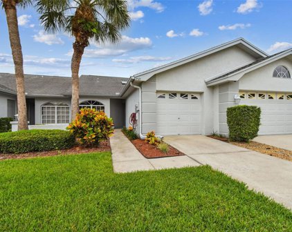 2521 Pine Cove Lane, Clearwater