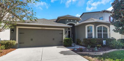 12825 Tikal Way, Trinity
