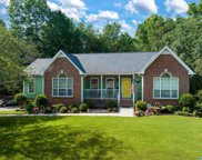 4893 Hackberry Circle, Pinson image