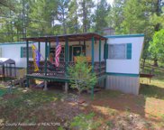 329 Brady Canyon Road, Ruidoso image