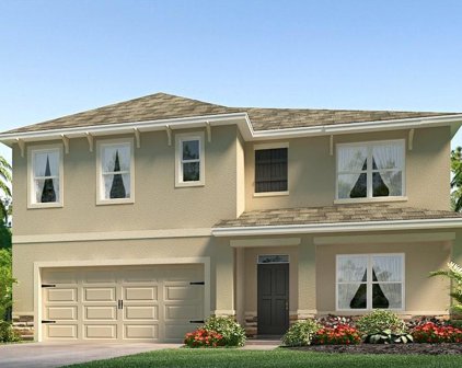 3515 Wild Bramble Court, Plant City