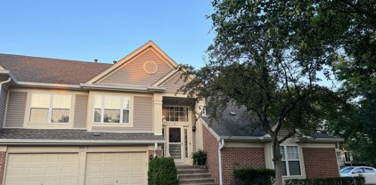 425 Cobbler Court Unit #3, Bartlett