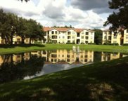 5612 Pinnacle Heights Circle Unit 311, Tampa image