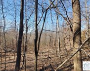 Ramey Hodge Dr, Martinsville image