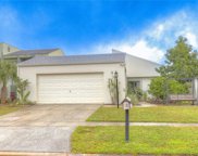 16117 Gardendale Drive, Tampa image