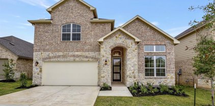 17877 Hanson Ridge Court, Montgomery