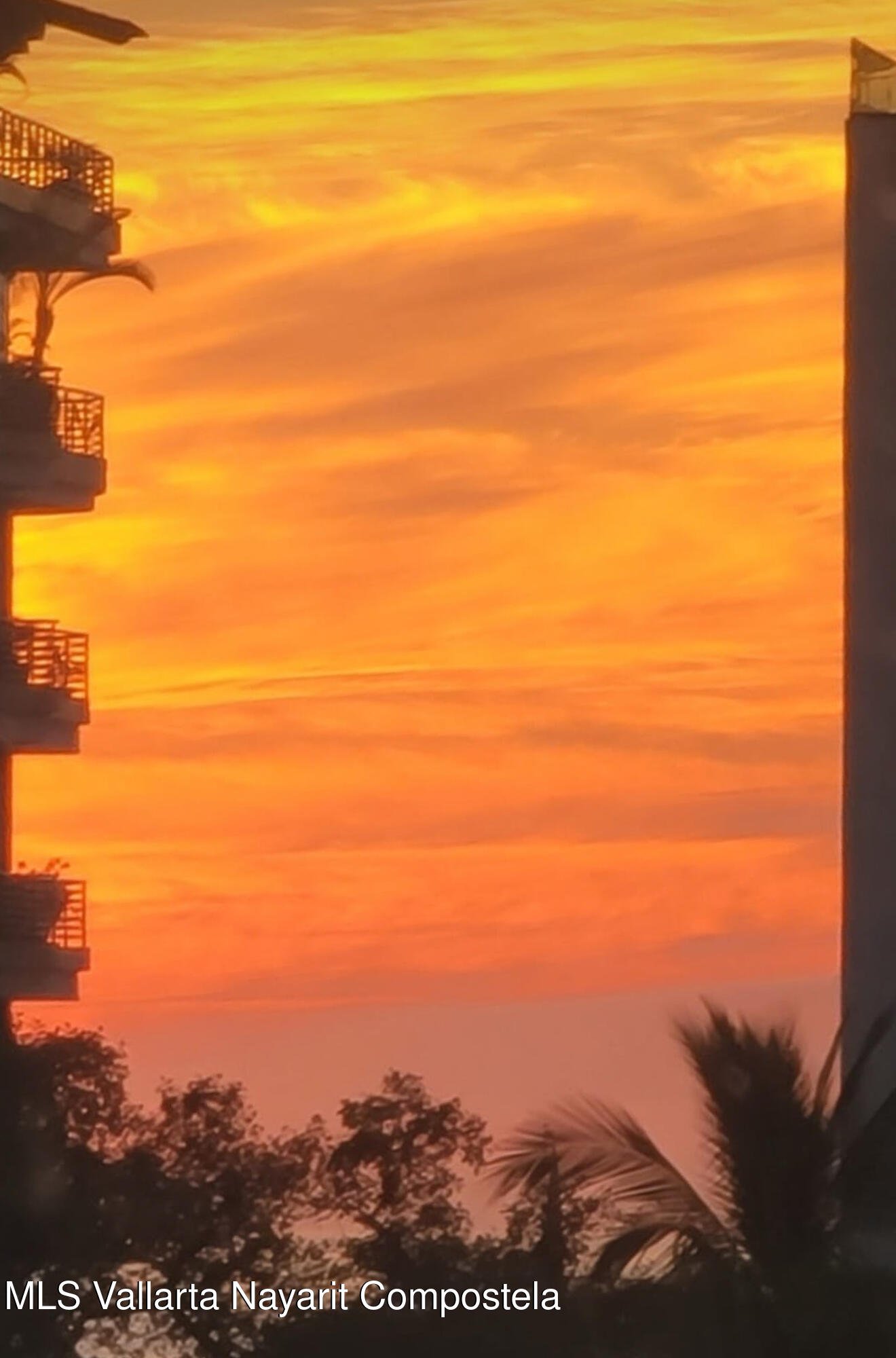 474 Insurgentes Unit 3, Puerto Vallarta, JALISCO N/A — Alta Vista