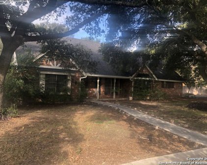 101 Dandelion Ln, San Antonio