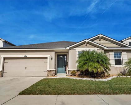 10718 Planer Picket Drive, Riverview