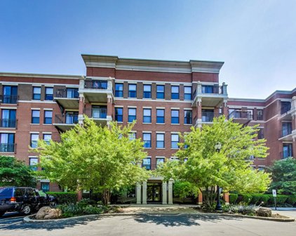 2335 W Belle Plaine Avenue Unit #315, Chicago