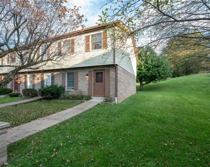 321 Dolomite Ct, Unity  Twp
