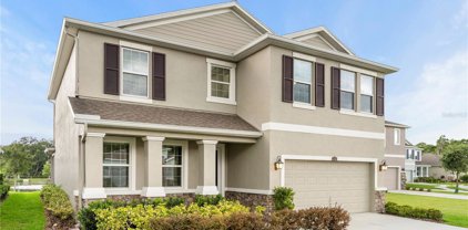 12532 Candleberry Circle, Tampa