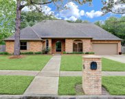 1409 Piney Woods Drive, Friendswood image