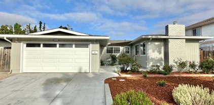 963 Planetree Place, Sunnyvale
