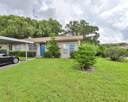409 Feltham Trail Unit B, Sun City Center