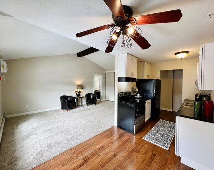 1001 11th Avenue S Unit #8, Hopkins