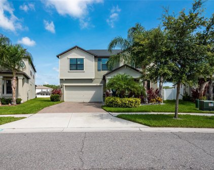 13355 Orca Sound Drive, Riverview