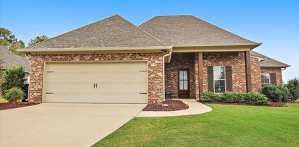 118 Trailbridge Crossing, Canton