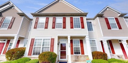 529 Cannon Ball Drive, Grayslake