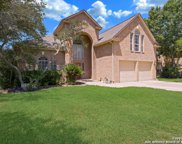 713 Treaty Oak, San Antonio image