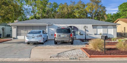 5723 Ivy Lane, Holiday