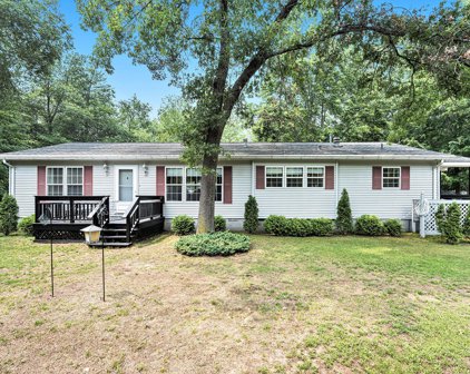17218 Apache Trail, Howard City