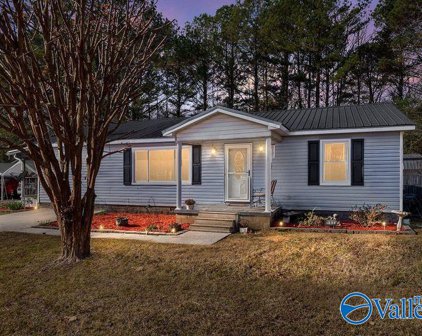 162 Hereford Drive, New Hope