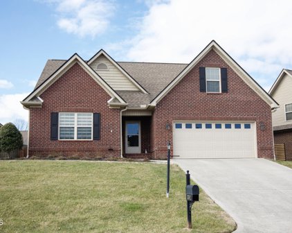 3317 Parrish Hill Lane, Knoxville