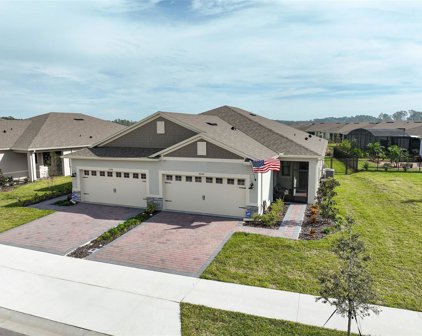 3590 Meadow Beauty Way, Clermont