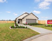 21323 Barcelona Heights Trail, Tomball image