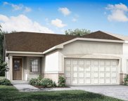 3271 Canna Lily Place, Clermont image