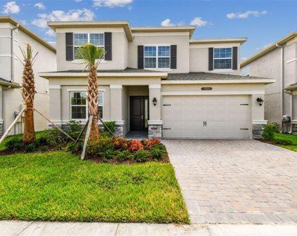 3033 Hollow Hickory Place, Wesley Chapel