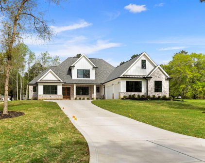 20 Quiet Springs Trail, Willis