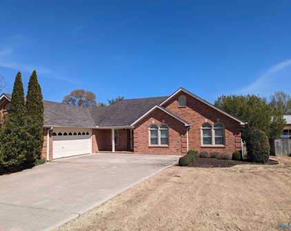 100 Bellemeade Street Sw, Hartselle