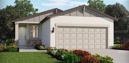 7139 Amelia River Drive, Parrish